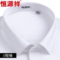 恒源祥桑蚕丝免烫白色衬衫短袖男士2025春夏季商务正装白衬衣工装