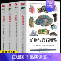 [正版]4册 矿物与岩石图鉴 231种矿物与65种岩石鉴别指南 鸟图鉴 野菜图鉴野花图鉴 收藏爱好者鉴别指南自然科学读物