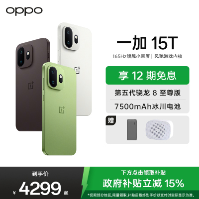 一加 15T 12GB+256GB 松弛抹茶 oppo 第五代骁龙8至尊版 游戏电竞手机 王濛同款旗舰小直屏