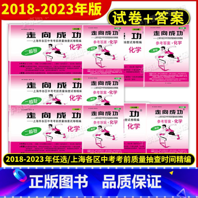 2024中考二模 化学[试卷+答案] 上海 [正版]2018-2023年版走向成功上海中考二模卷化学 试卷+答案 201
