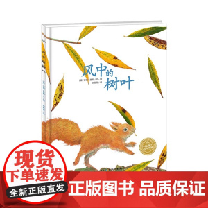 海豚绘本花园 风中的树叶 平 点读版 正版书籍 简单的故事铺陈推展 清浅的文字中展现温柔的安静 甘芳中渐然释放力量