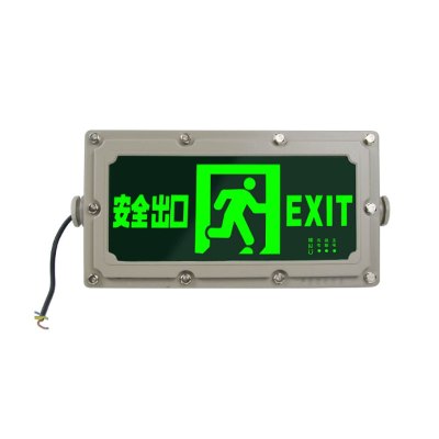 亚牌 防爆消防出口标志灯 LED灯290*155mm