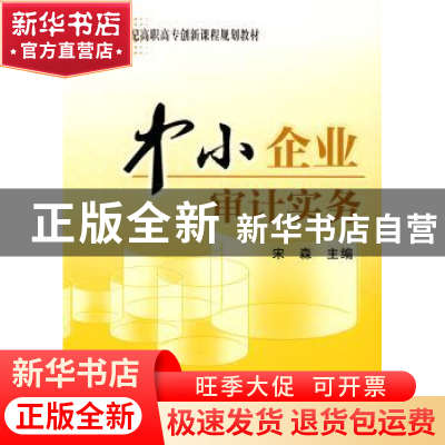正版 中小企业审计实务 宋森 经济科学出版社 9787505892637 书籍