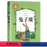 兔子坡 [正版]小飞侠彼得潘注音版国 际大奖儿童文学名著小孩子看的书6-12岁成长励志小学生一二三四年级必读课外书阅读书