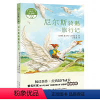 尼尔斯骑鹅旅行记 [正版]阅美寒假六年级标准书目必读 快乐读书吧六年级下尼尔斯骑鹅旅行记 塞尔玛拉格洛夫著 小学生名家经
