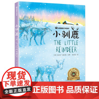 桂冠绘本 小驯鹿