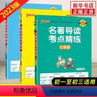 七八九年级 全3册 初中通用 [正版]年级任选2024新版 名著导读考点精练套装3册 七八九年级PASS绿卡图书初一二三