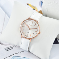 CASIO官方旗舰店卡西欧手表女SHEENIP涂层女士正品商务简约时尚防水电子非机械腕表女士石英表女 SHE-4048