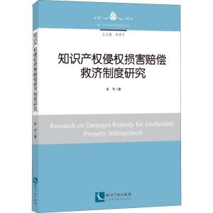 知识产权侵权损害赔偿救济制度研究