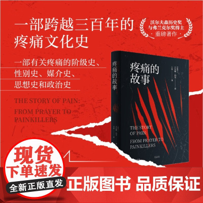 疼痛的故事 乔安娜·伯克 著 历史