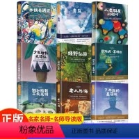 绿野仙踪 [正版]绿野仙踪 假如给我三天光明 少年维特之烦恼 青鸟 木偶奇遇记 老人与海 世界经典名著一二三四年级小学生