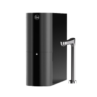 美国百年品牌 瑞美净热一体机RWRH-2500G1