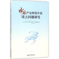 中国产业转型升级重点问题研究