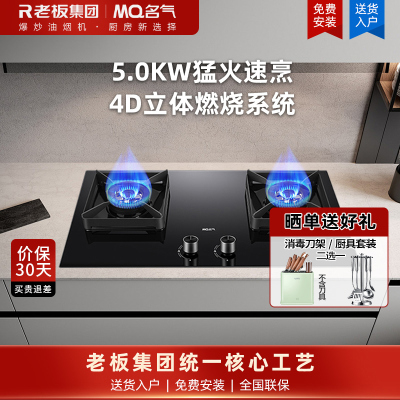 名气燃气灶家用双灶 煤气灶天然气灶嵌入灶台炉灶6510B天然气