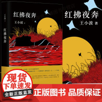 红拂夜奔 王小波 现代当代文学散文小说随笔 对趣味的向往的书 王小波著百日全集时代三部曲 黄金时代一只特立独行的猪作者