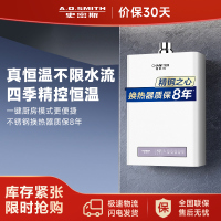 AO史密斯燃气热水器JSQ31-PC0