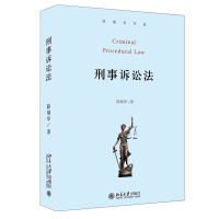 音像刑事诉讼法(陈瑞华作品)(精)陈瑞华