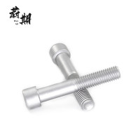 蔚期 GB834不锈钢滚花高头螺钉 M6*30 个