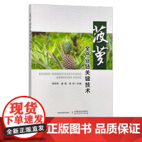 菠萝全产业链关键技术 30541