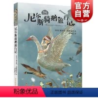 [正版]我爱读经典尼尔斯骑鹅旅行记 世界经典童话3-6岁读物李俍民著文学的瑰宝著名翻译家实力译作国际大奖图画师绘图 少