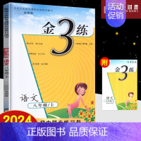英语江苏版 九年级上 [正版]2024秋上册下册金3练初中语文数学英语物理化学七八九年级789全国版人教版内含单元检测卷