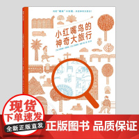 小红嘴鸟的神奇大旅行(正版硬壳精装)光学趣味游戏儿童绘本3三-4-5到6岁以上幼儿园大中小班宝宝孩子早教阅读睡前启蒙故事