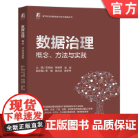 正版 数据治理 概念 方法与实践 石秀峰 李晓燕 赵佳 数据治理 数据质量管理 数据分析 企业数字化转型 机械工业出