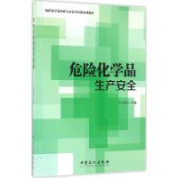 正版新书]危险化学品生产安全方文林 主编 著9787511440372