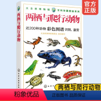 大自然博物馆·百科珍藏图鉴系列--两栖与爬行动物 [正版] 两栖与爬行动物 200种动物彩色图谱识别鉴赏 两栖爬行动物形