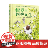 梭罗的四季人生 8-14岁 朱莉·邓拉普 著 科普百科