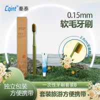 秦泰(Cqint) 一次性牙刷套装 B
