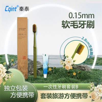 秦泰(Cqint)QTYCX-01 酒店一次性牙刷套装 B
