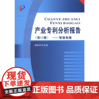 产业专利分析报告(第13册)