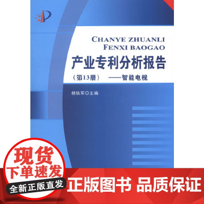 产业专利分析报告(第13册)