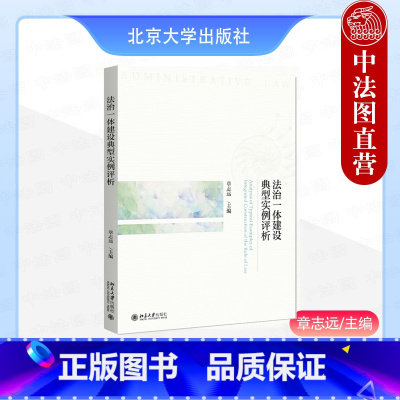 法治一体建设典型实例评析 [正版] 2024新 法治一体建设典型实例评析 章志远 北京大学出版社 普法责任制 行政审批法