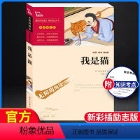 [正版]我是猫夏目漱石 九年级必读名著原着 初中生初三下册9课外阅读书籍青少年版小学生白话文版人民教育文学无障碍阅读世