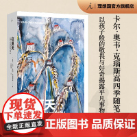 在夏天 卡尔 奥韦 克瑙斯高 著 四季随笔最终卷 以孩子的视角揭露平凡事物的奥秘 在春天 在秋天 我的奋斗 理想国图书店