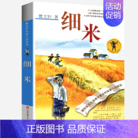 细米 [正版]单行街全套曹文轩纯美小说系列 初中小学生课外阅读书籍三四五六年级经典书目江苏凤凰少年儿童出版社安徒生儿童文