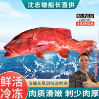 沈志雄 船长 福建东山岛澳角村海鲜海捕东星斑年货礼包年货年夜饭送礼