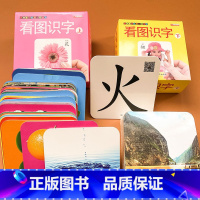 [正版]2盒看图识字卡低幼版宝宝早教0-3岁幼儿加厚小手撕不烂益智书婴儿启蒙一岁到两岁半三绘本1-2-4-5-6岁识物