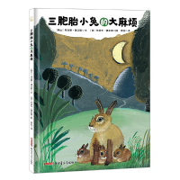 正版新书]三胞胎小兔的烦马克斯·薄立歌9787559064660