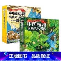 中国植物+动物共8册 [正版]中国植物很高兴认识你全4册自然科普绘本图鉴6- 5-12岁儿童书籍少儿读物课春夏秋冬图鉴国