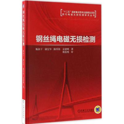 钢丝绳电磁无损检测