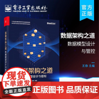 数据架构之道 数据模型设计与管控 王琤 编 数据库专业科技 正版图书籍 电子工业出版社