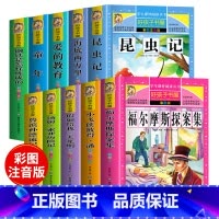 彩图 [正版]好孩子书屋系列 昆虫记注音版 法布尔原著注音版 小学生课外阅读书籍 一年级二年级三年级四年级下册课外书 全