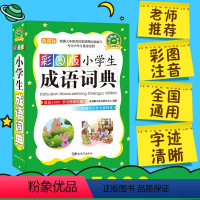 [正版]彩图版成语小学生成语词典工具书1-6年级词典大全书新版字典现代汉语多全功能字典笔顺同义词近义词反义词100个故