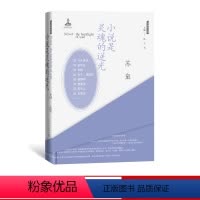 [正版] 小说是灵魂的逆光 苏童 著 精装 大家读大家系列 苏童的阅读笔记 小说课 文学课 人民文学出版社