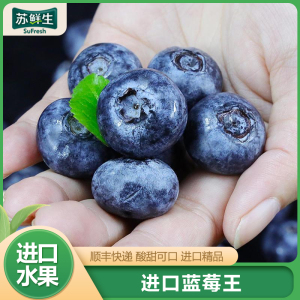 [苏鲜生]顺丰快递 秘鲁进口蓝莓王 个头饱满 2盒 125g/盒 口感甜蜜