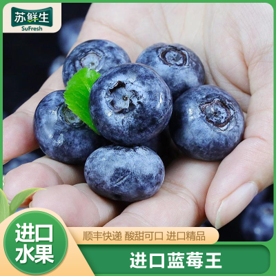 [苏鲜生]顺丰快递 秘鲁进口蓝莓王 个头饱满 2盒 125g/盒 口感甜蜜