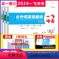 小升初真题精选 [语数英] 套装 小学六年级 [正版]科目任选天津2024版一飞冲天小升初真题精选语文数学英语全套小升初